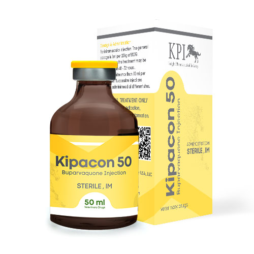KIPACON-50