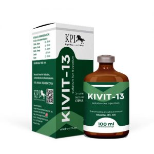 KIVIT-13