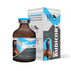 KPI BUDICORT