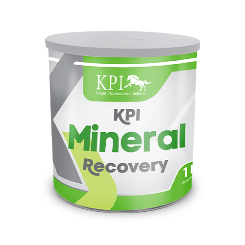 KPI-Mineral-Recovery-Powder